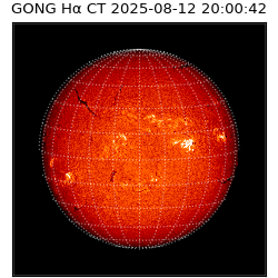 gong - 2025-08-12T20:00:42