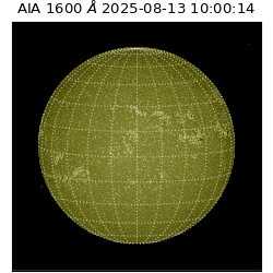 saia - 2025-08-13T10:00:14.125000