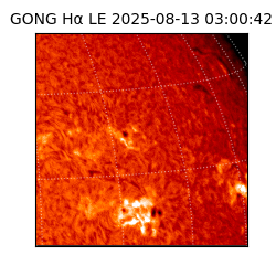 gong - 2025-08-13T03:00:42