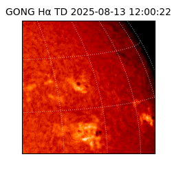 gong - 2025-08-13T12:00:22