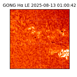 gong - 2025-08-13T01:00:42