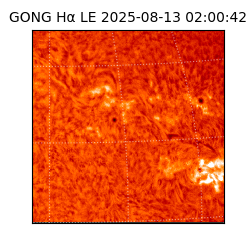 gong - 2025-08-13T02:00:42