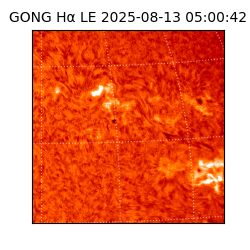 gong - 2025-08-13T05:00:42