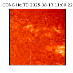 gong - 2025-08-13T11:00:22