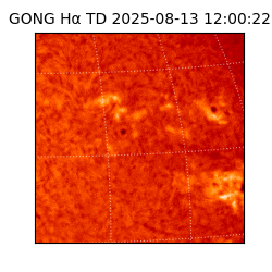 gong - 2025-08-13T12:00:22