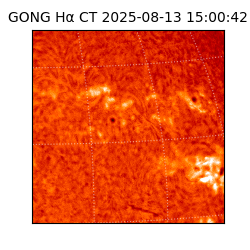 gong - 2025-08-13T15:00:42