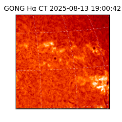 gong - 2025-08-13T19:00:42