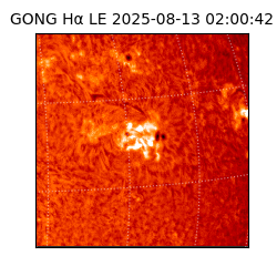 gong - 2025-08-13T02:00:42