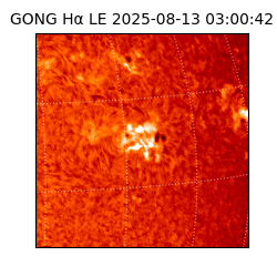 gong - 2025-08-13T03:00:42