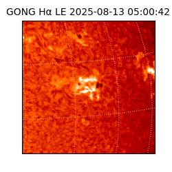 gong - 2025-08-13T05:00:42