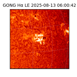 gong - 2025-08-13T06:00:42