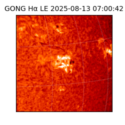 gong - 2025-08-13T07:00:42