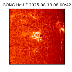 gong - 2025-08-13T08:00:42