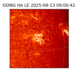 gong - 2025-08-13T09:00:42