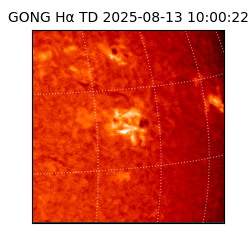 gong - 2025-08-13T10:00:22