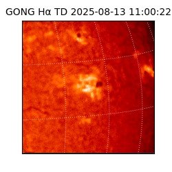 gong - 2025-08-13T11:00:22