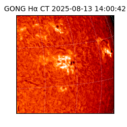 gong - 2025-08-13T14:00:42