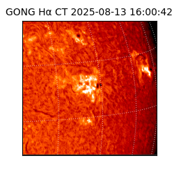 gong - 2025-08-13T16:00:42