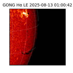 gong - 2025-08-13T01:00:42