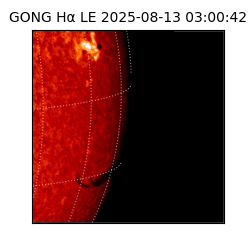 gong - 2025-08-13T03:00:42
