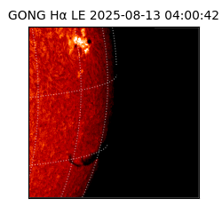 gong - 2025-08-13T04:00:42
