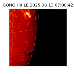 gong - 2025-08-13T07:00:42