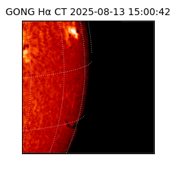 gong - 2025-08-13T15:00:42