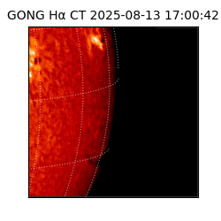 gong - 2025-08-13T17:00:42