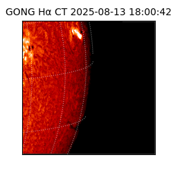 gong - 2025-08-13T18:00:42