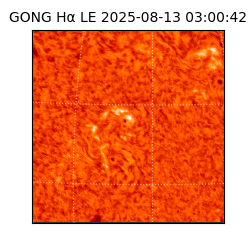gong - 2025-08-13T03:00:42