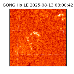 gong - 2025-08-13T08:00:42
