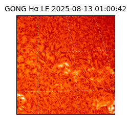 gong - 2025-08-13T01:00:42