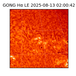 gong - 2025-08-13T02:00:42