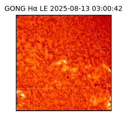 gong - 2025-08-13T03:00:42