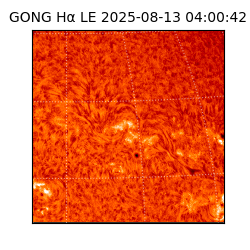 gong - 2025-08-13T04:00:42