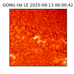 gong - 2025-08-13T06:00:42