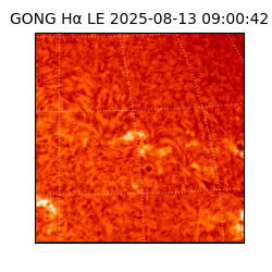 gong - 2025-08-13T09:00:42