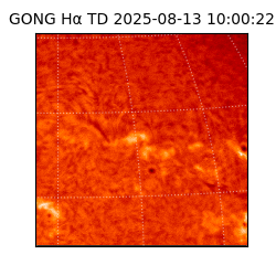 gong - 2025-08-13T10:00:22