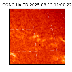 gong - 2025-08-13T11:00:22