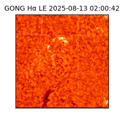 gong - 2025-08-13T02:00:42