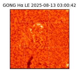 gong - 2025-08-13T03:00:42