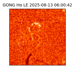 gong - 2025-08-13T06:00:42