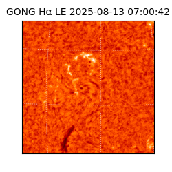 gong - 2025-08-13T07:00:42