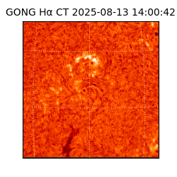gong - 2025-08-13T14:00:42