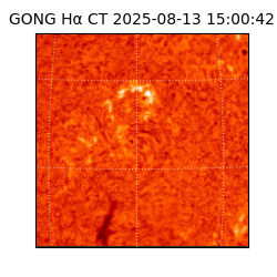 gong - 2025-08-13T15:00:42