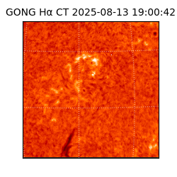 gong - 2025-08-13T19:00:42