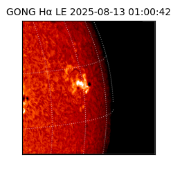 gong - 2025-08-13T01:00:42