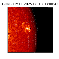 gong - 2025-08-13T03:00:42