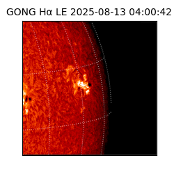 gong - 2025-08-13T04:00:42