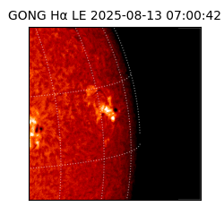 gong - 2025-08-13T07:00:42
